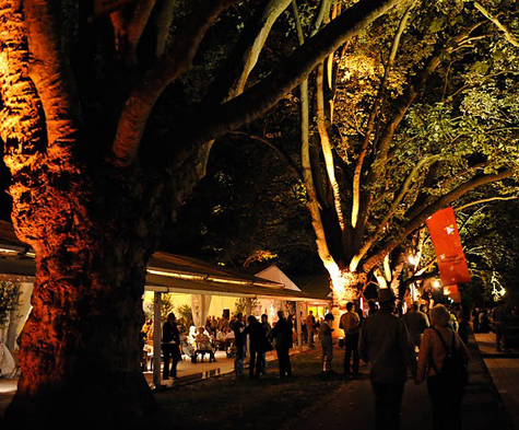 Festival am Abend